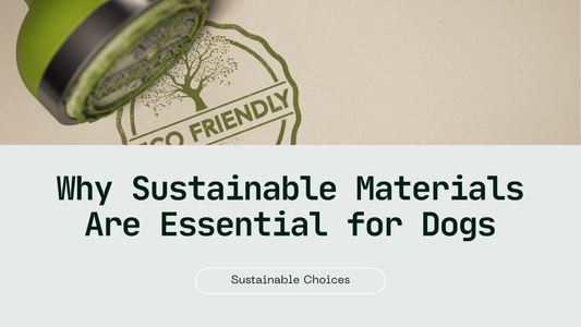 Eco-Friendly Dog Accessories: Why Sustainable Materials Matter