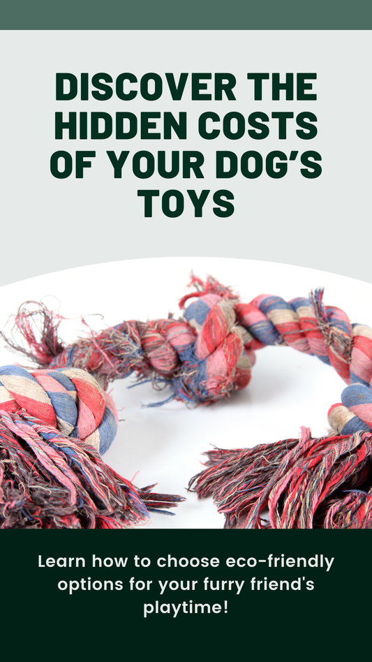 The Hidden Environmental Cost of Dog Toys and How to Make Better Choices