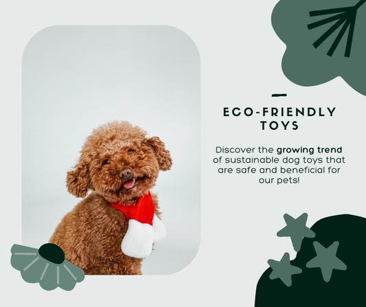 The Growing Trend of Eco-Friendly Dog Toys: What You Need to Know