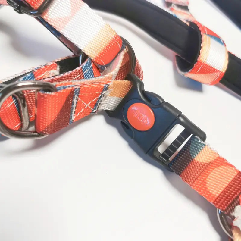 Eco-Friendly Geometric Dog Harness & Leash Set