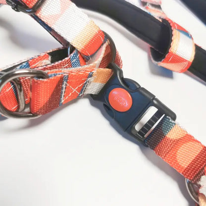 Eco-Friendly Geometric Dog Harness & Leash Set