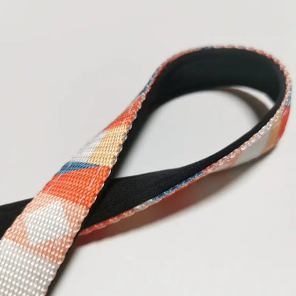 Eco-Friendly Geometric Dog Harness & Leash Set