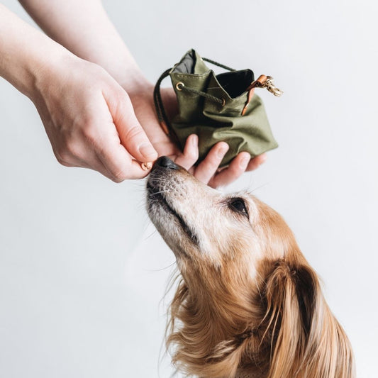 Waxed Canvas Treat Bag - Green