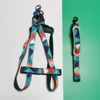 Eco-Friendly Geometric Dog Harness & Leash Set